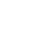 thick tick - white