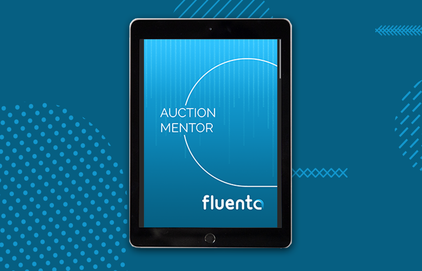 Auction-mentor-borito